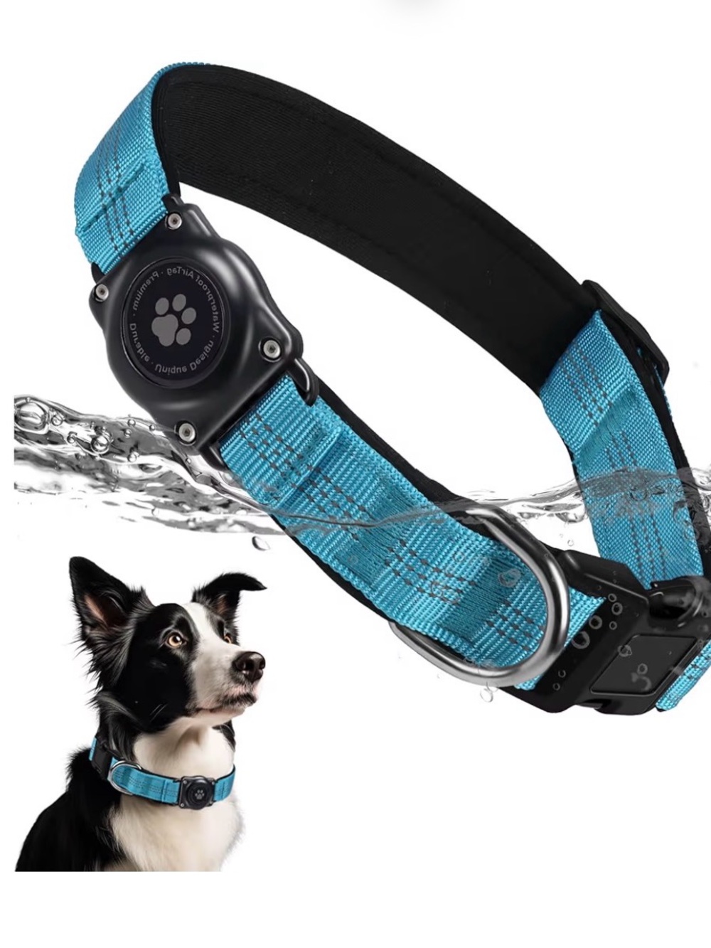 Waterproof Dog Training Collar in Bright Teal Blue